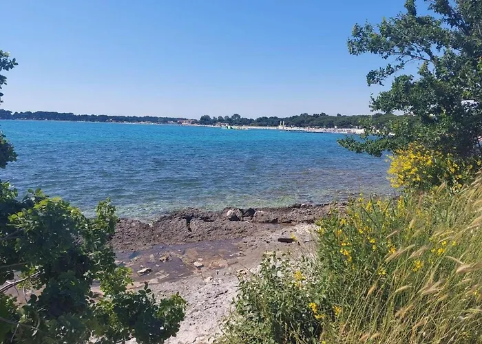 In Near Bijeca Apartman